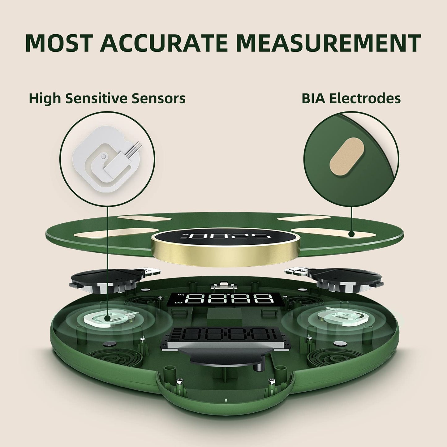 Smart Scale for Body Weight Digital Bathroom Scales for Body Fat Weighing Scale for Fitness Tracking with App High Accurate Body Composition Monitor with BMI Bluetooth, Green